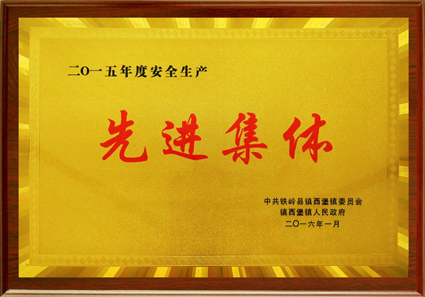 榮譽資質(zhì)
